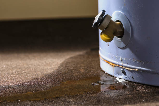  Columbus, GA Water damage restoration Pros