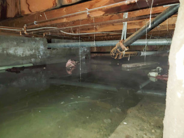 Best Water damage restoration company  in Columbus, GA