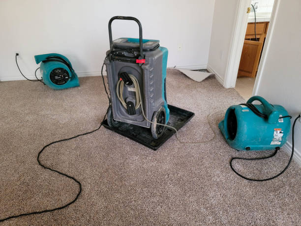 Best Water damage contractors near me  in Columbus, GA
