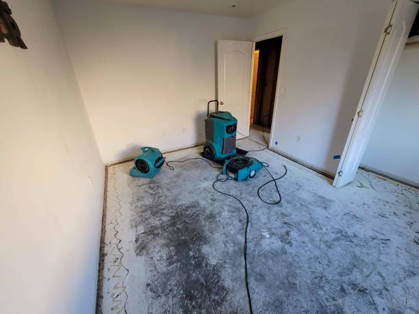 Best Commercial water damage restoration  in Columbus, GA