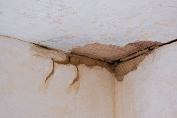  Columbus, GA Water damage restoration Pros