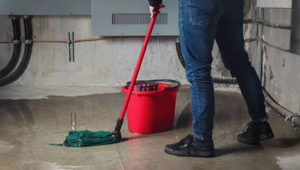 Best Water damage restoration mold remediation  in Columbus, GA