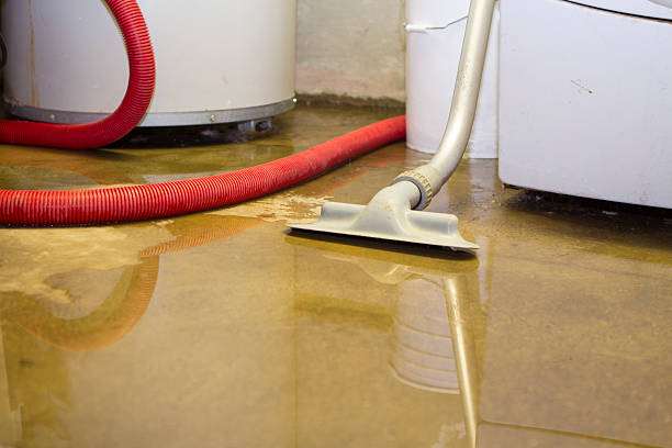 Best Local water damage restoration  in Columbus, GA