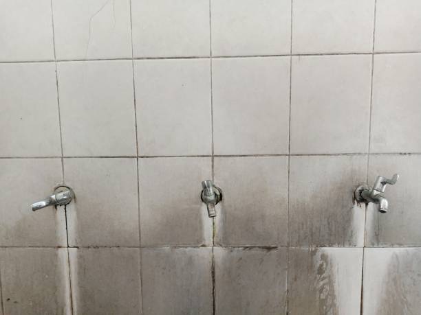 Best Fire Damage Restoration  in Columbus, GA
