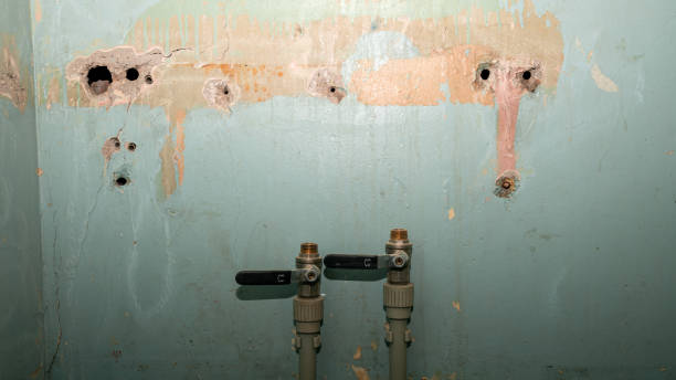 Water damage restoration mold remediation in Columbus, GA