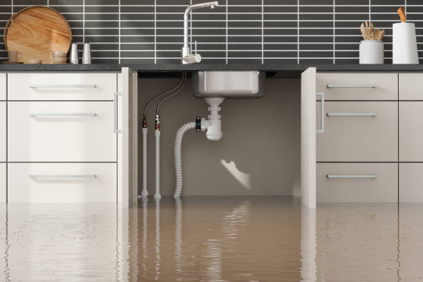 Carpet water damage restoration in Columbus, GA
