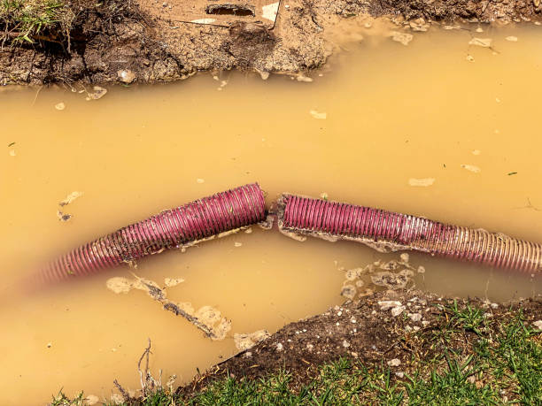 Best Water damage restoration near me  in Columbus, GA