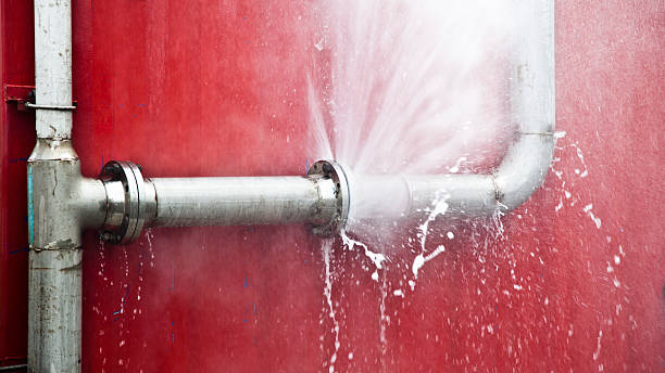 Best Flooded house restoration  in Columbus, GA