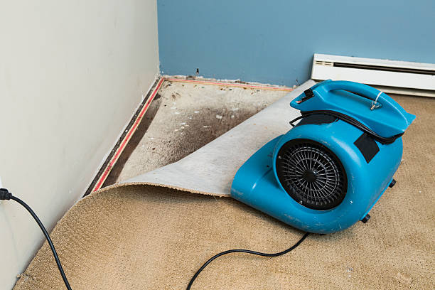 Best Ceiling water damage repair  in Columbus, GA
